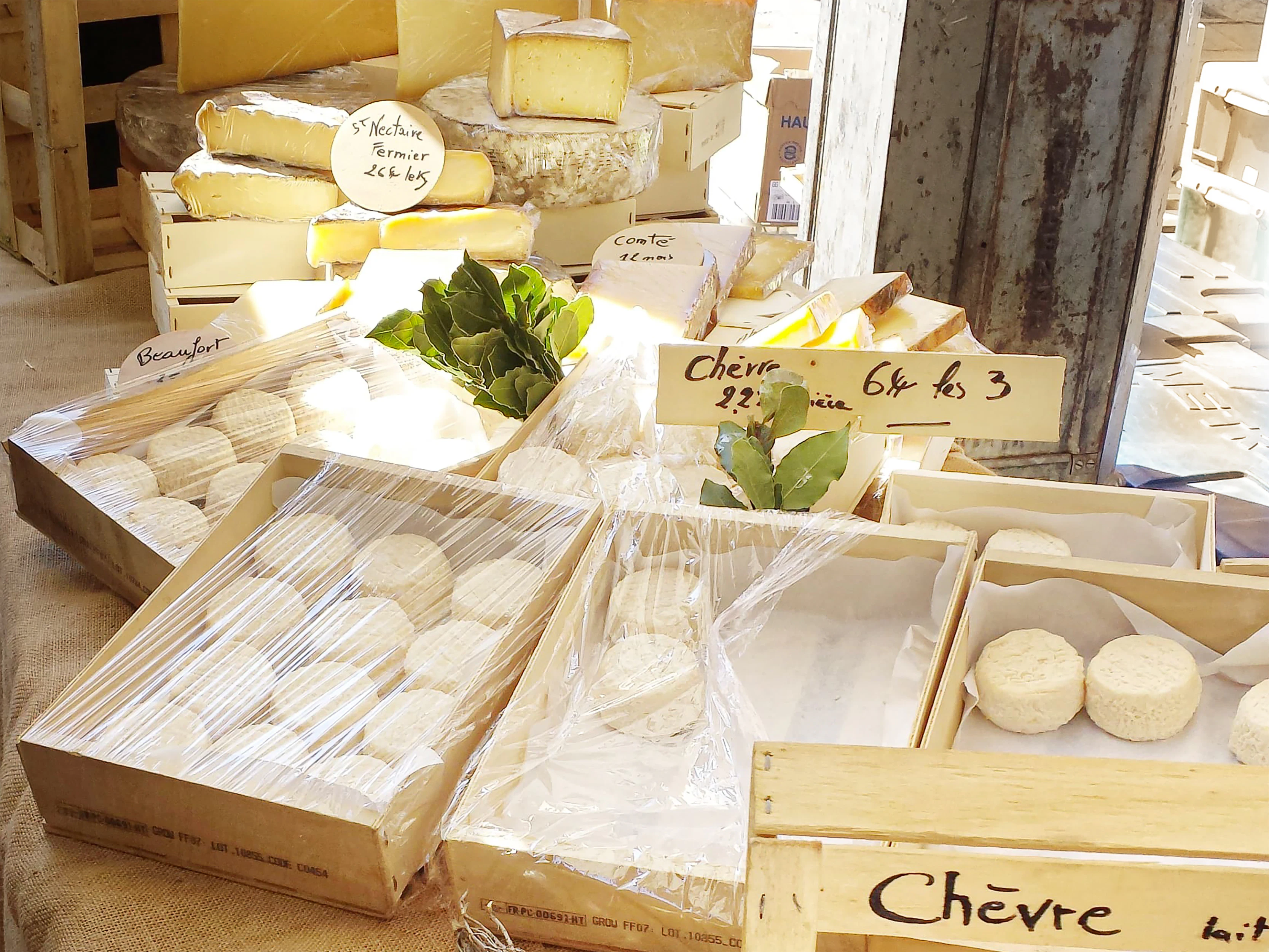 Various cheeses displayed at a market stall.