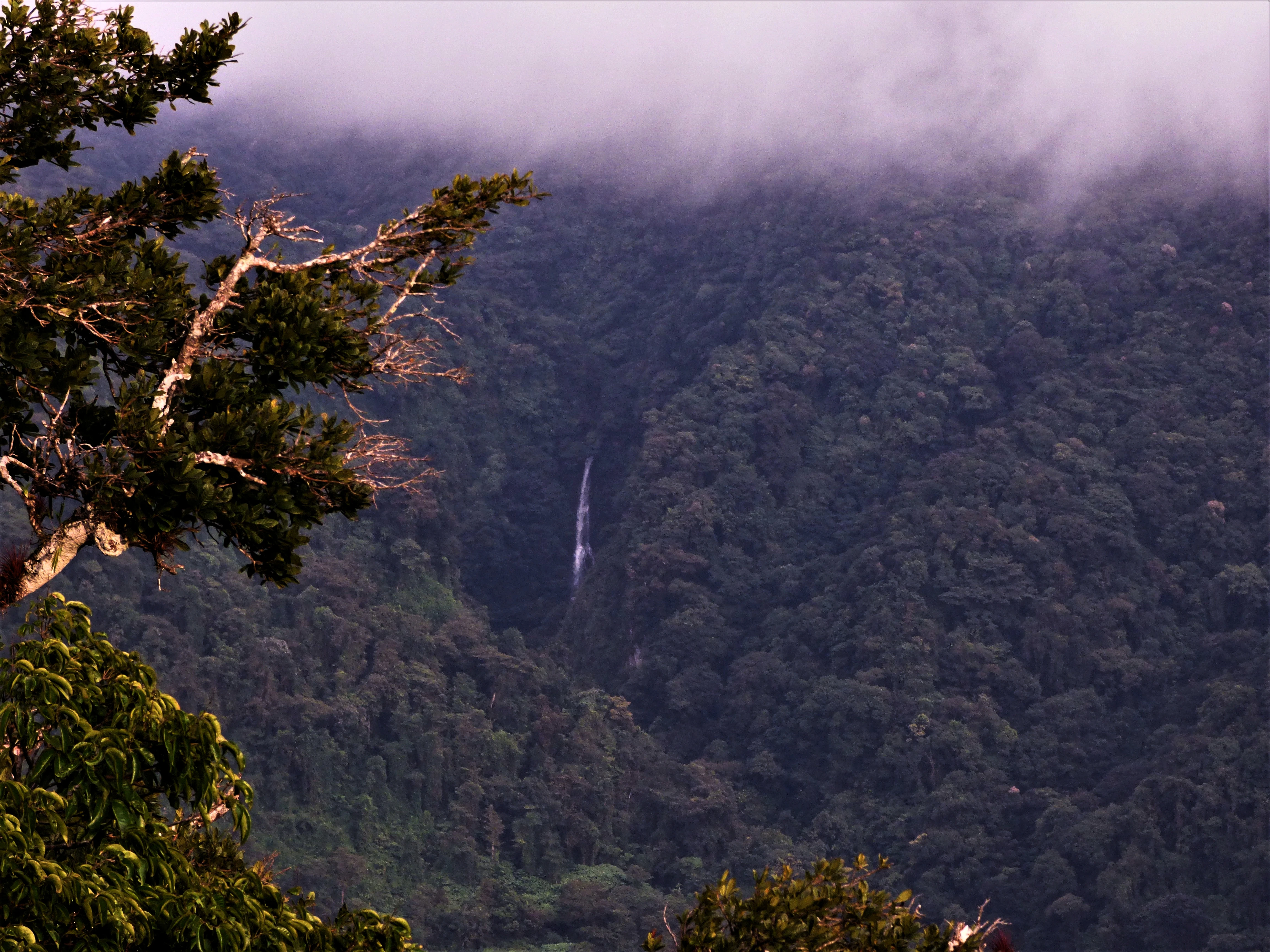 a view of a waterfall in the middle of a forest